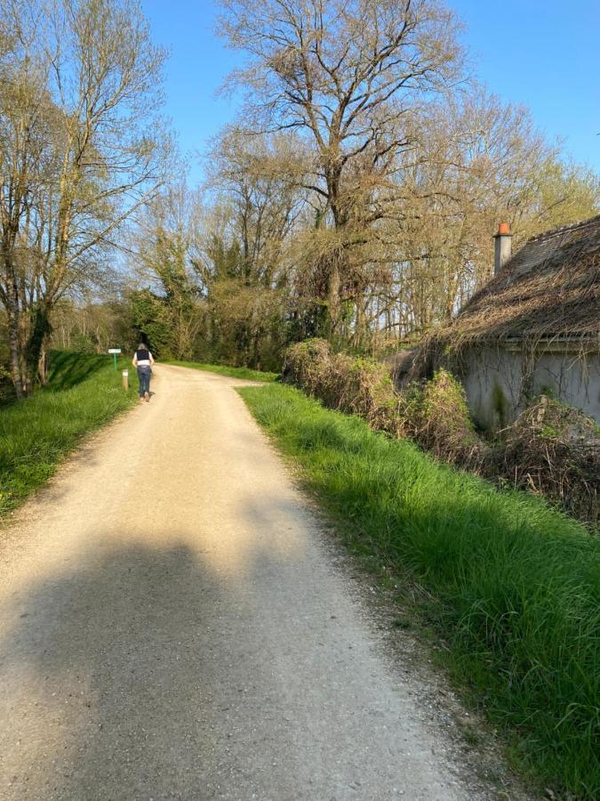Studio Indre Climatise, La Halte De Cuze, Aux Abords De La Loire A Velo Huismes Exterior photo